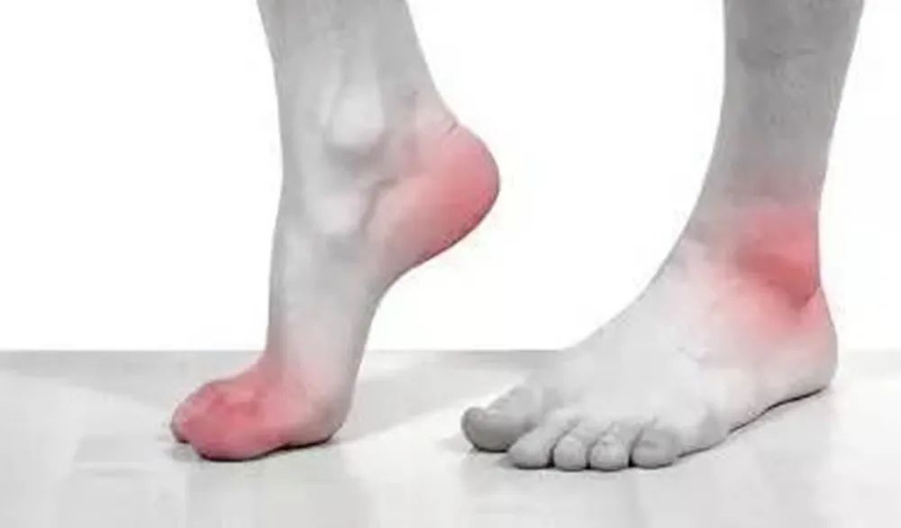 5202
