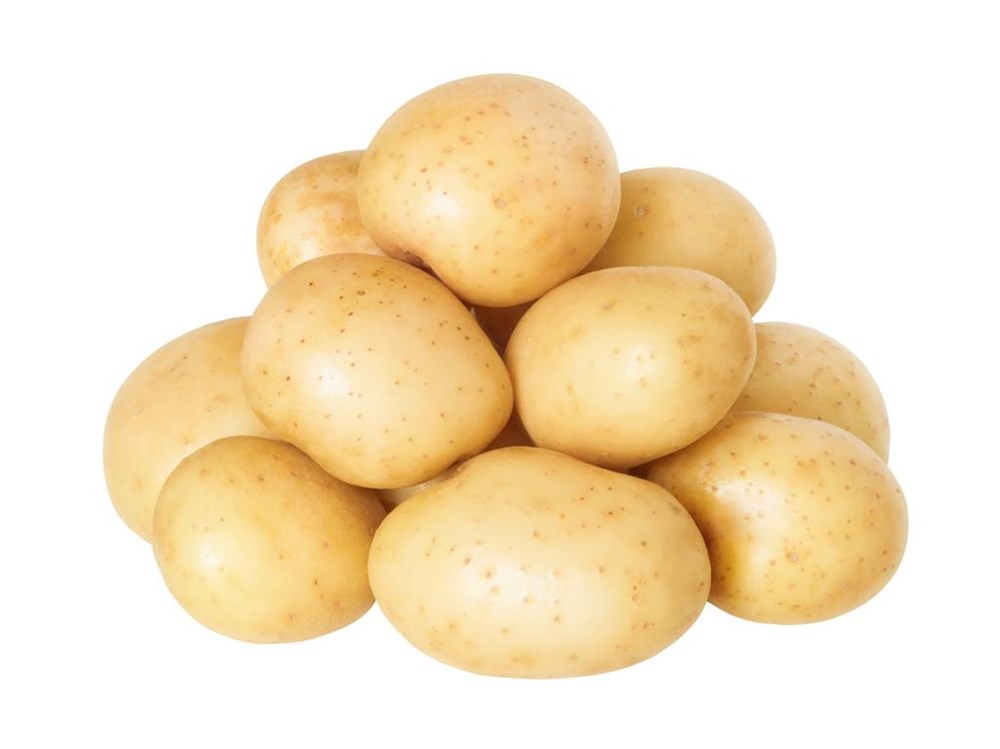 src=http___dpic.tiankong.com_wi_mr_QJ8494165340&refer=http___dpic.tiankong