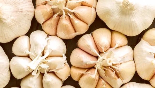 微信图片_20220804112616