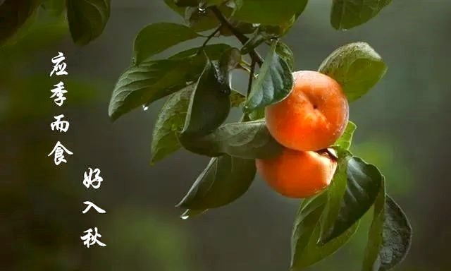 微信图片_20220901135758