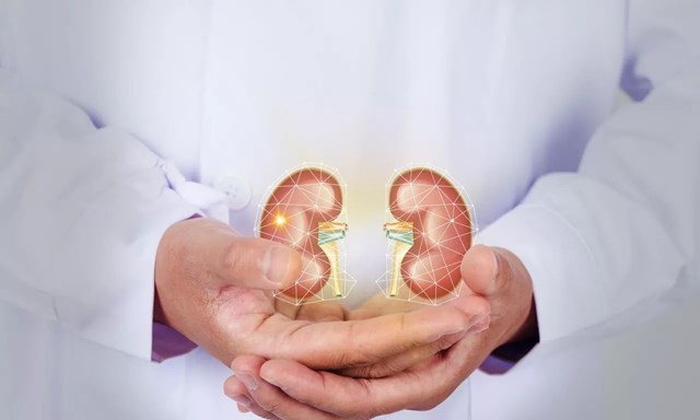 微信图片_20220922135936