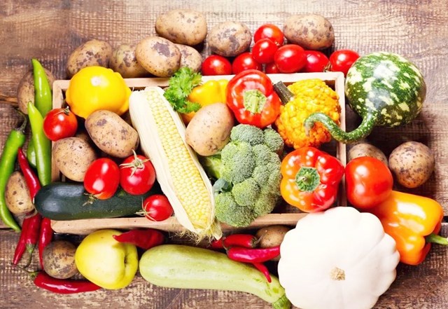 微信图片_20230511153636