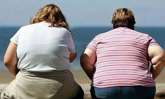 微信图片_20230511153643