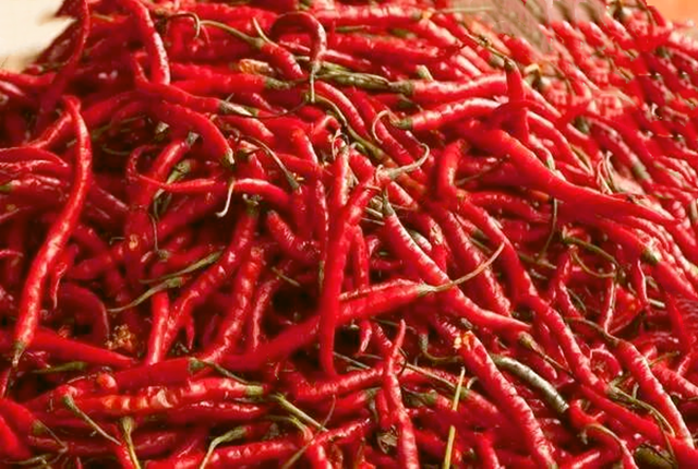 微信图片_20230810160706