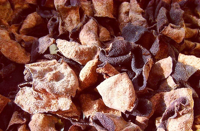 微信图片_20230920155834_副本