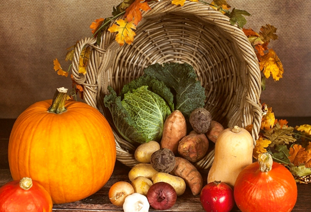 微信图片_20231207163505