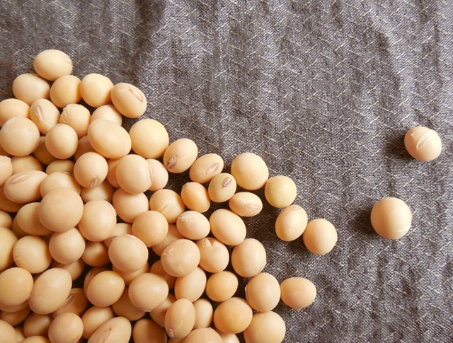 微信图片_20231207163509