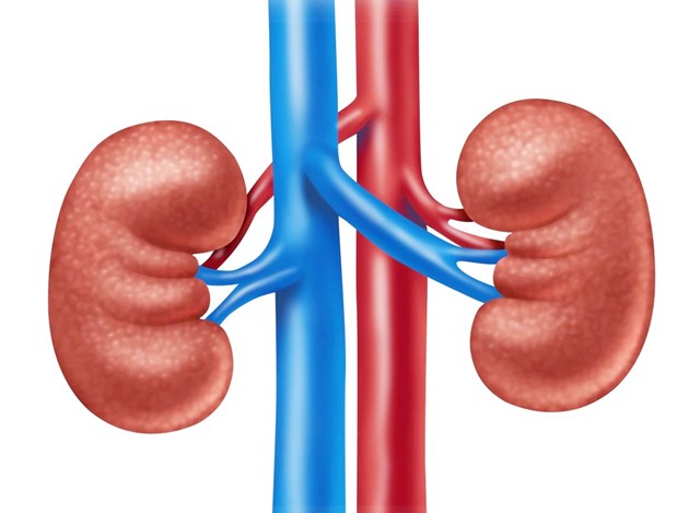 微信图片_20240111151553