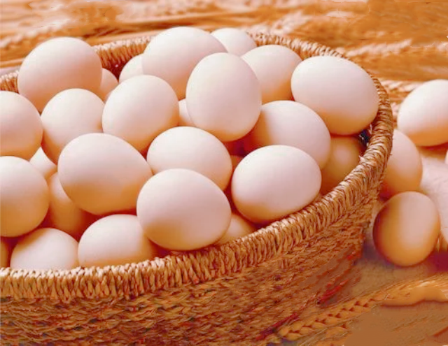 微信图片_20240425144903