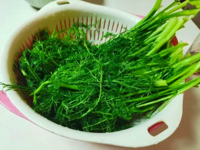 微信图片_20240516134033