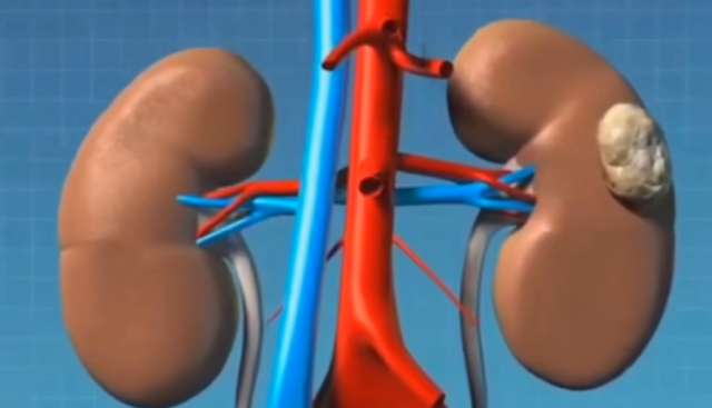 微信图片_20240711141553