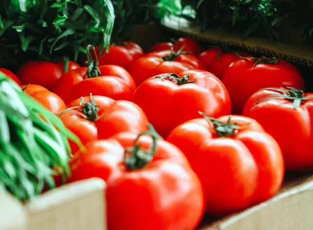 微信图片_20240711141634