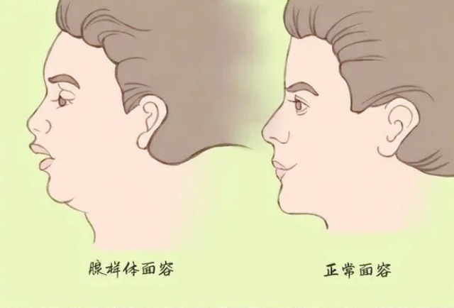 微信图片_20240711154929