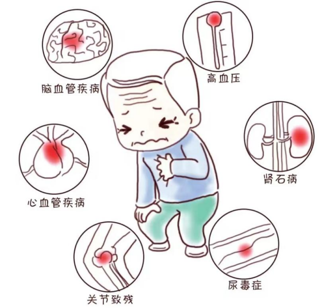 微信图片_20240815160351