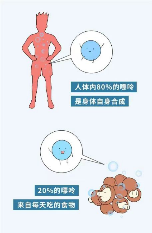 微信图片_20240815160354