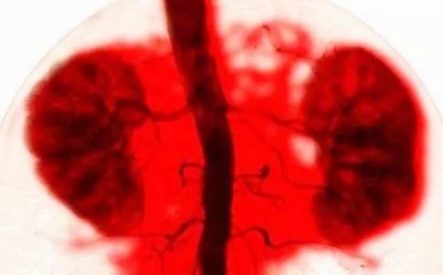 微信图片_20241017135629