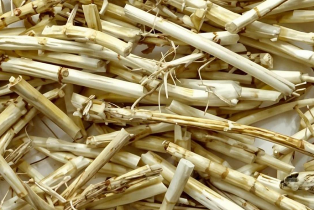 微信图片_20241105170608