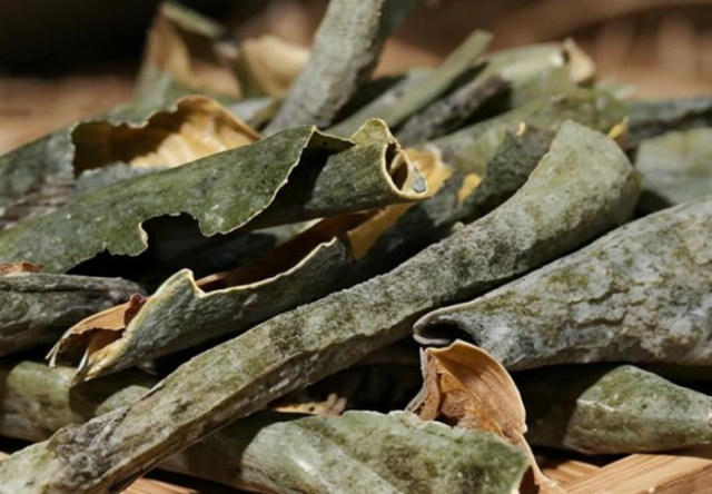 微信图片_20241105171234