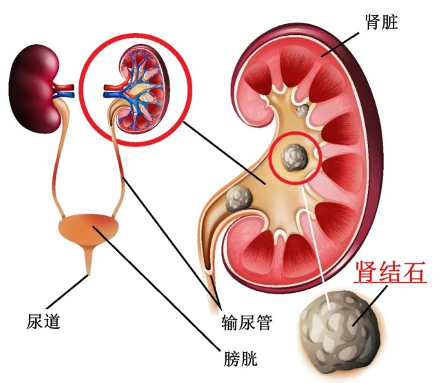 微信图片_20250313140501