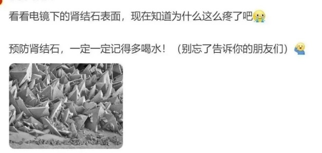 微信图片_20250313140505