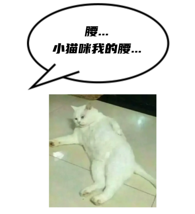 微信图片_20250313140516