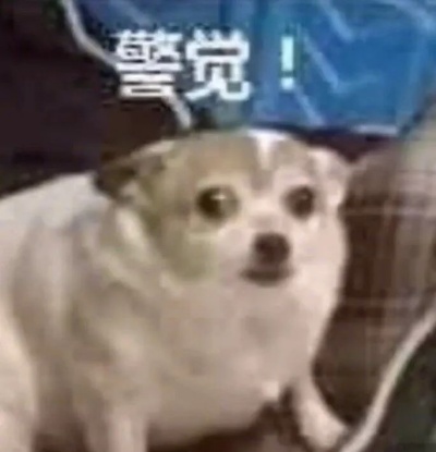 微信图片_20250313140524