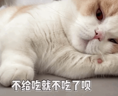 微信图片_20250313140532