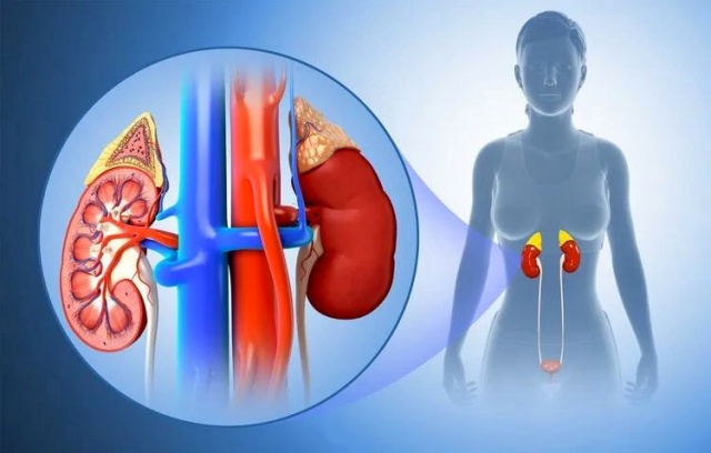 微信图片_20250327145832