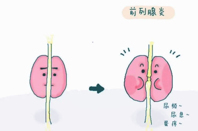 微信图片_20250410143608