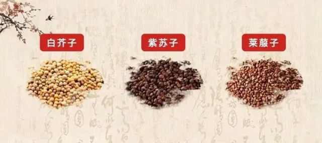 微信图片_20250522150655