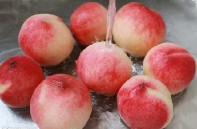 微信图片_20250529093633