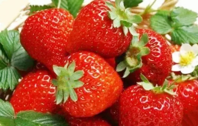 微信图片_20250529093648