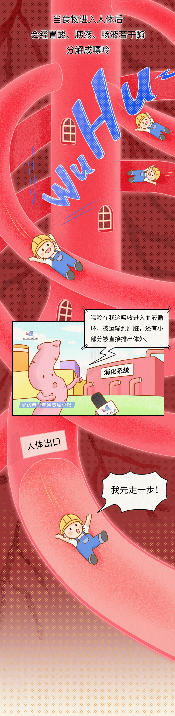 微信图片_20250612141126