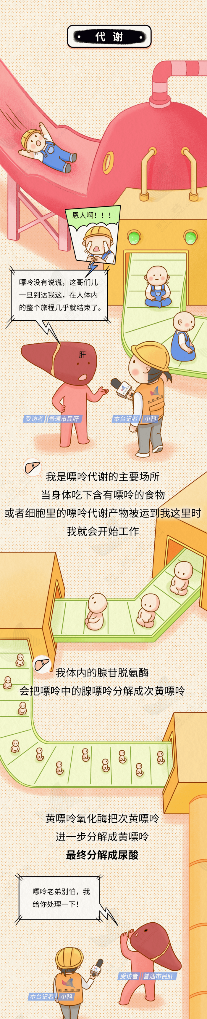 微信图片_20250612141129