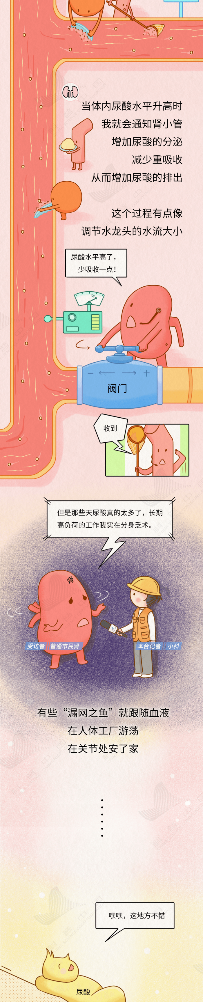 微信图片_20250612141137