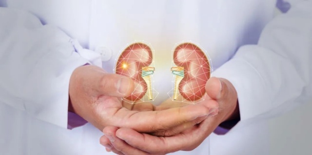 微信图片_20250724141941