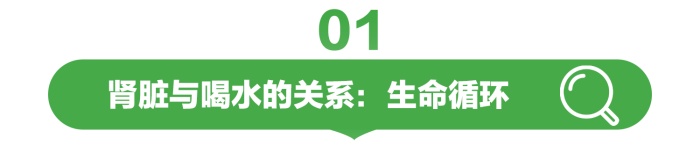 微信图片_20250807135318