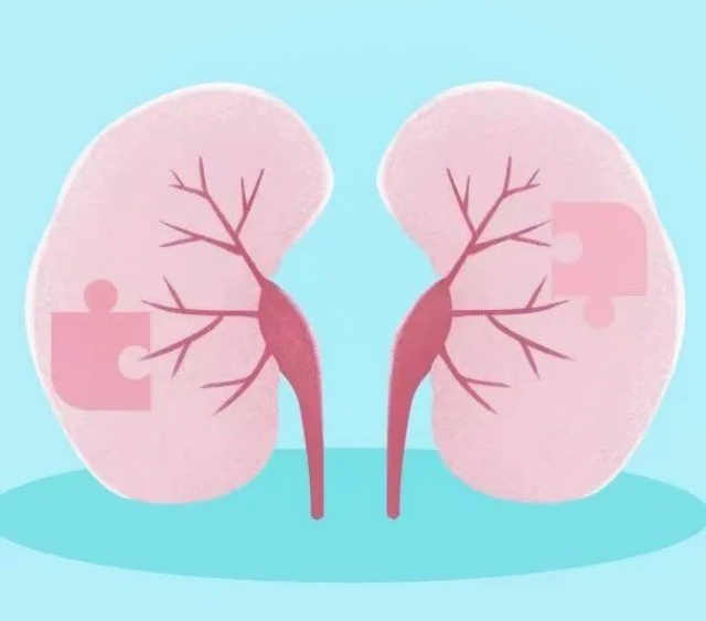 微信图片_20250807135352