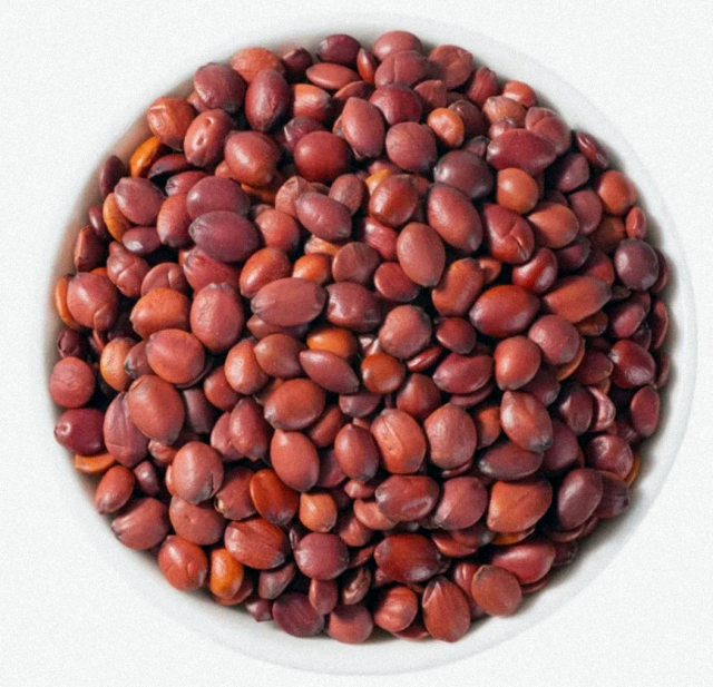 微信图片_20250821143253