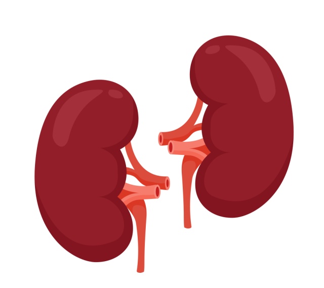 微信图片_20251106135930