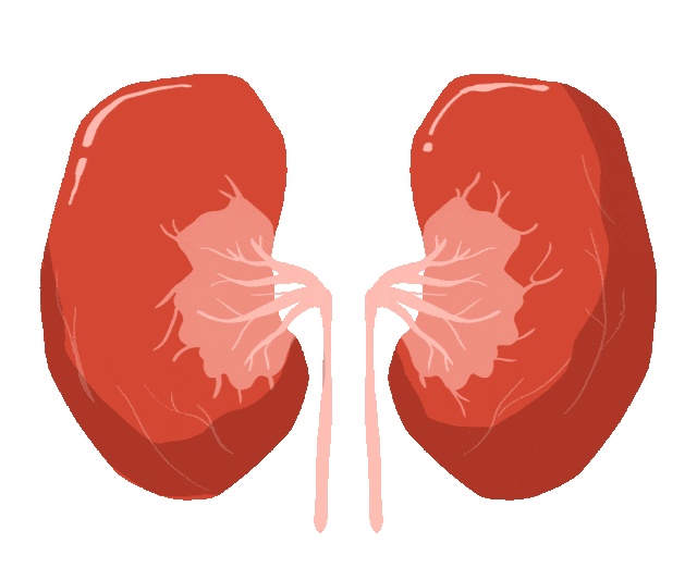 微信图片_20251106135937