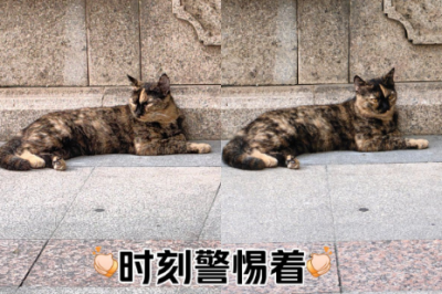 微信图片_20260122155707